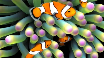 Sim Aquarium Live Wallpaper