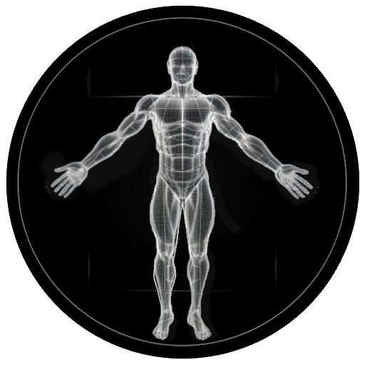 BodBot AI Personal Trainer
