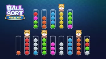 Sort Ball : Brain Age