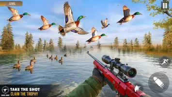 Duck Hunting 3d: Birds Shooter