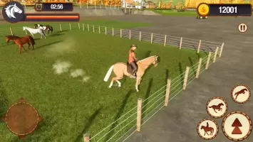 My Horse Herd Care Simulator