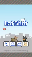 Cat Shot