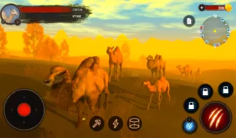 The Camel