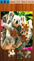 Jigsaw Puzzles