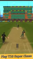 Super Chase Cricket Challenge