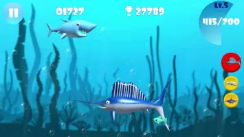 Big Shark