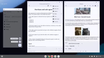 Text Editor