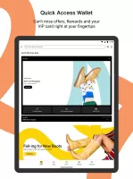 DSW Designer Shoe Warehouse