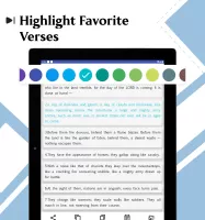 NIV Bible
