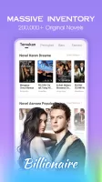 Romance Novel - Good Web Novel