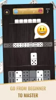 Classic Dominoes: Board Game