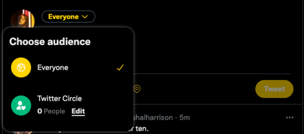 What is Twitter Circle?