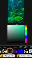 Photo Art - Color Effects