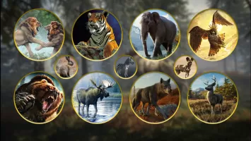Animal Hunting