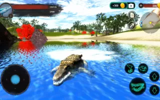 The Crocodile
