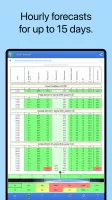 UAV Forecast for Drone Pilots