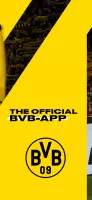 BVB