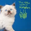 The alpha cats