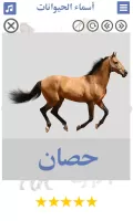 تعليم اصوات الحيوانات مع الصور