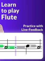 Flute Lessons - tonestro
