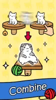 Cat Condo