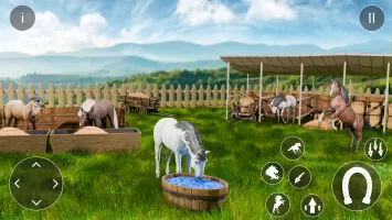 Wild Horse Riding Sim: Racing