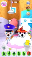Talking Husky Dog