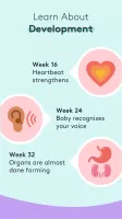 Pregnancy Tracker & Baby App