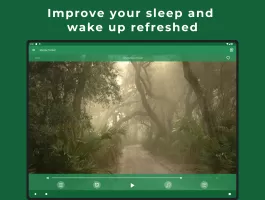 Relax Forest