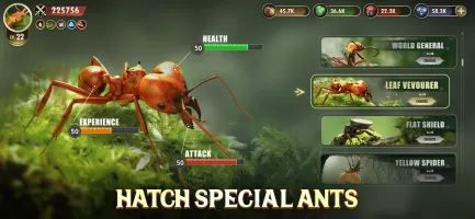 The Ants