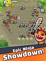 Combo Koala