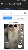 Downloader for TikTok