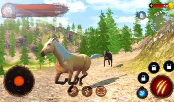 The Horse