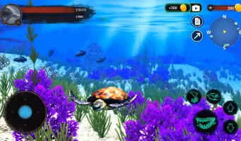 The Turtle
