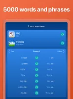 Learn Dutch - Speak Dutch