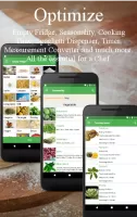Vegetarian and vegan recipes