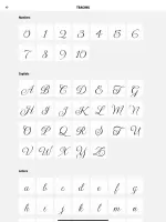 Calligraphy - Cursive Practice