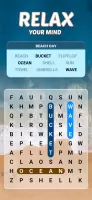 Word Search Explorer