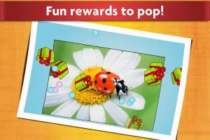 Insect Jigsaw Puzzle Game Kids