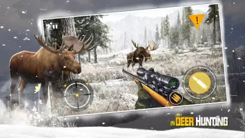 Deer Hunting
