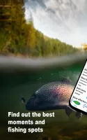 WeFish