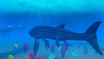 Leedsichthys Simulator
