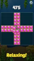 Block Ocean Puzzle 1010