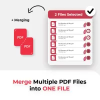 PDF Reader
