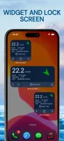 Wind Compass