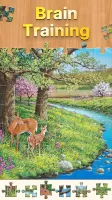 Jigsaw Puzzle