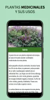 Medicinal Plants and Remedies