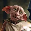 Dobby HouseElf2009