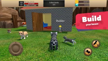 Cat Simulator - Animal Life