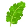 Kale Riley